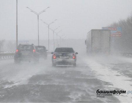 В Башкортостане вновь объявлено штормовое предупреждение из-за метели и сильного ветра