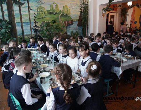 Для организации бесплатного питания младшеклассников Башкортостана потребуется 1,64 млрд рублей