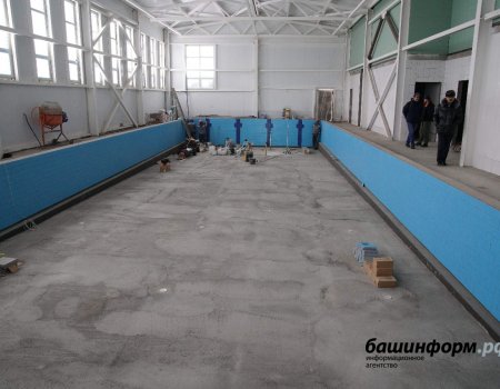 Радий Хабиров поручил ввести бассейн в селе Ермолаево к 20 апреля