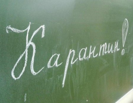 В Башкортостане школы и детсады закрываются на карантин из-за большого количества заболевших