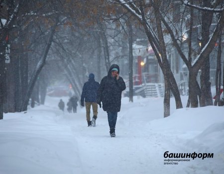 МЧС Башкортостана предупреждает жителей республики о мокром снеге с дождем