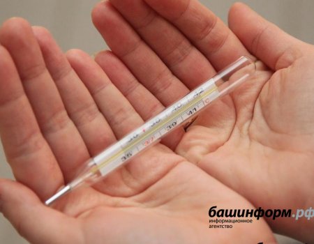 Роспотребнадзор сообщил о начале эпидемии гриппа и ОРВИ в Башкортостане