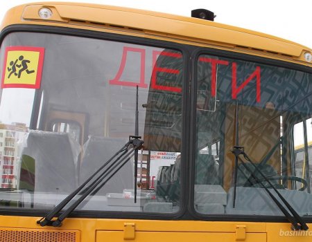 В Башкортостане автобус со школьниками столкнулся с табуном лошадей