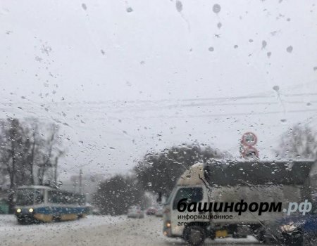 В Башкортостан вернется плюсовая температура и снег с дождем