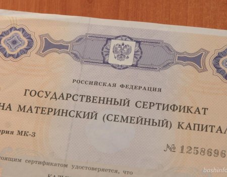За ежемесячными выплатами из маткапитала обратились 2,4 тысячи семей Башкортостана