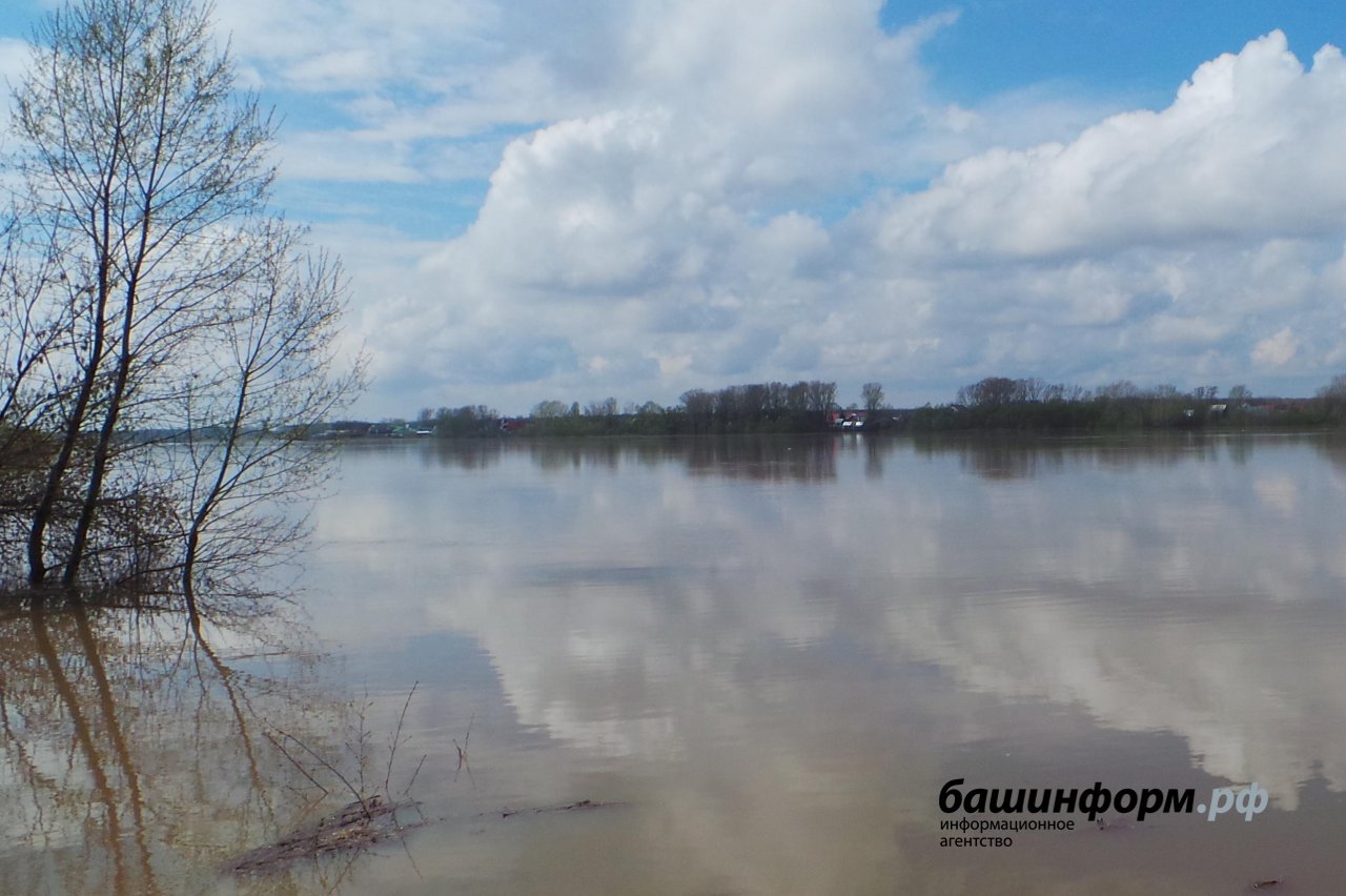 благовещенск река белая