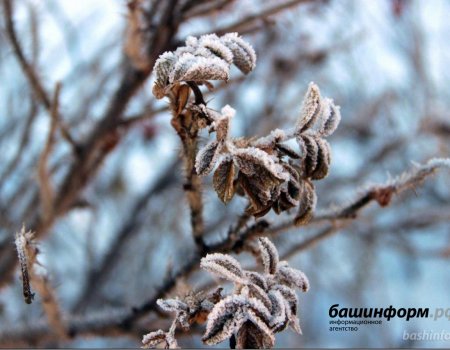 В Башкортостане температура воздуха в ночь с 6 на 7 марта опустится до -20 градусов