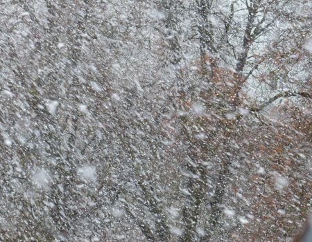 В Башкортостане 15 марта прогнозируются мокрый снег, дождь и гололедица