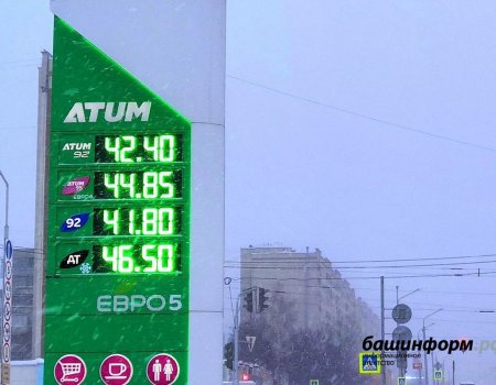 Владимир Путин удивился росту цен на бензин АИ-92 более чем на 10%