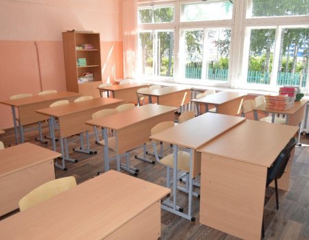 К 6 апреля все школы Башкортостана будут готовы к переходу на дистанционное обучение