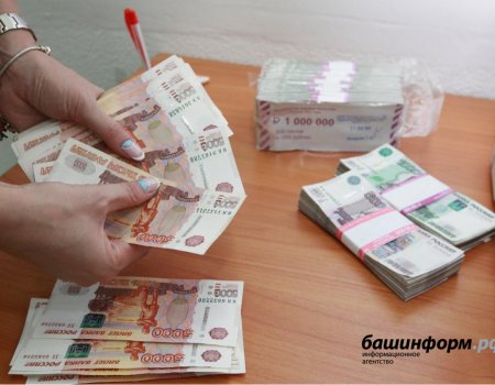Правительство Башкортостана направит беспрецедентную сумму на поддержку экономики региона