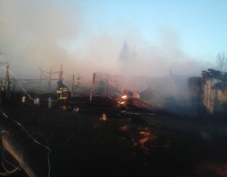 В Башкортостане при пожаре на ферме погибли коровы, лошадь и более 200 бройлеров