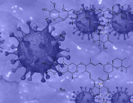Ученые нашли препарат, подавляющий коронавирус за 48 часов