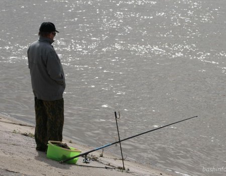 В Башкортостане будут штрафовать за выезд на рыбалку: Минэкологии