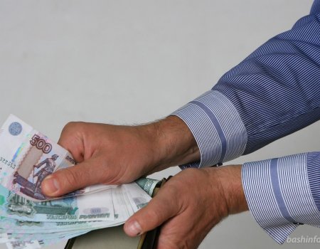 Бюджет Башкортостана поможет субсидиями ГУПам и компаниям-инвесторам