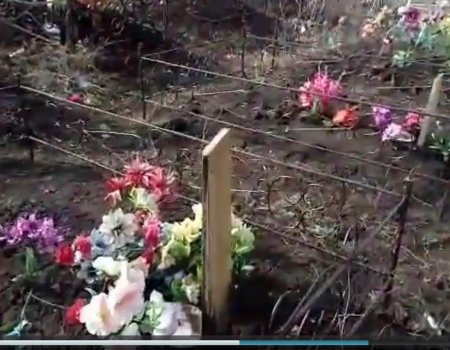 Житель Башкортостана спилил на кладбище кресты и сделал из них костер