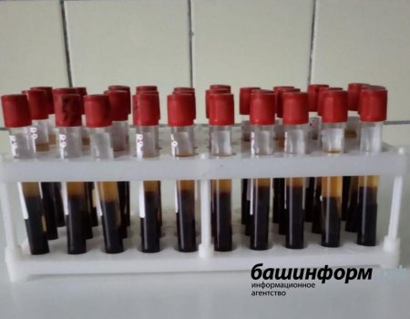 Распространение коронавируса в Башкортостане идет по итальянскому варианту - эксперты