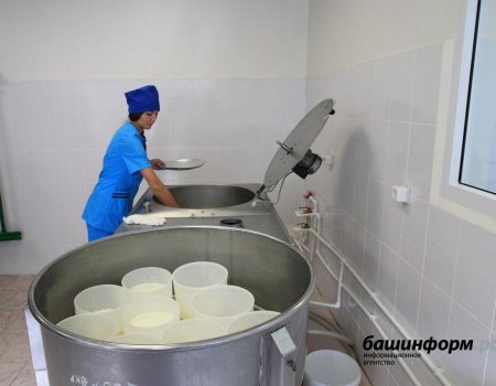 В ГАУ Башкортостана «Молочная кухня» открылся колл-центр