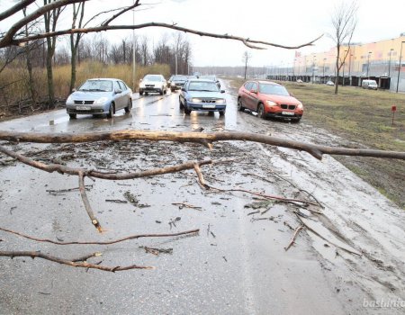 «Сильная буря»: в Башкортостане объявлено штормовое предупреждение
