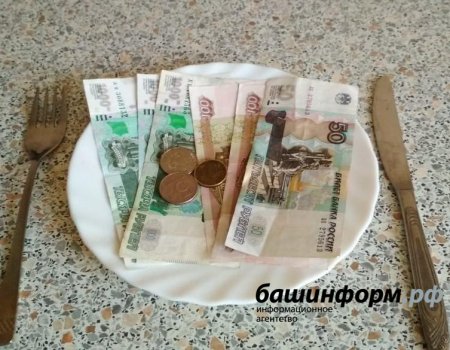 Власти Башкортостана готовы выделить на поддержку бизнеса 30 млрд рублей