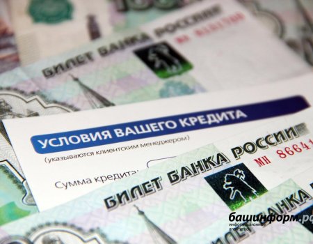 В Башкортостане банки одобрили 300 заявлений от МСП на предоставление кредитных каникул