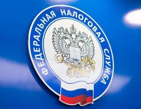 На сайте ФНС России заработал специальный сервис  для выплаты субсидий малому и среднему бизнесу