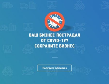 На сайте ФНС России заработал специальный сервис для выплаты субсидий малому и среднему бизнесу