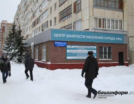 В Башкортостане соцслужбы получили более 60 тыс. заявлений на пособие по безработице