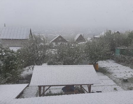 В Башкортостане ночью выпал снег