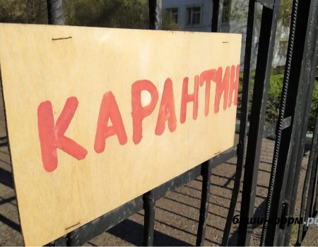 За сутки коронавирусом в Башкортостане заболели 92 человека