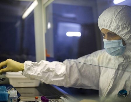 ВОЗ: Россия достигла плато по коронавирусу
