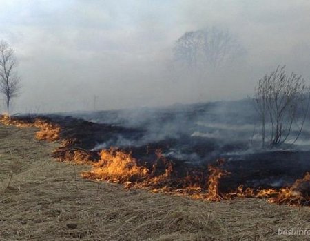 В южных районах Башкортостана объявлен чрезвычайный 5 класс пожароопасности