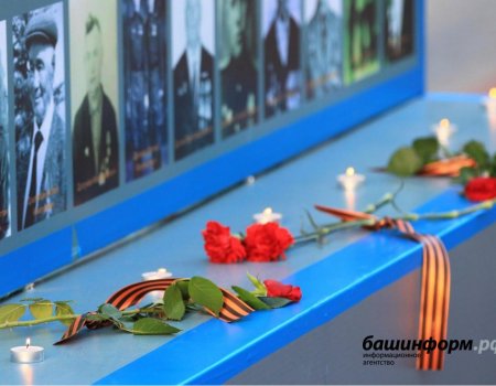 В Уфе состоялась онлайн-встреча, посвященная Дню России и Году памяти и славы