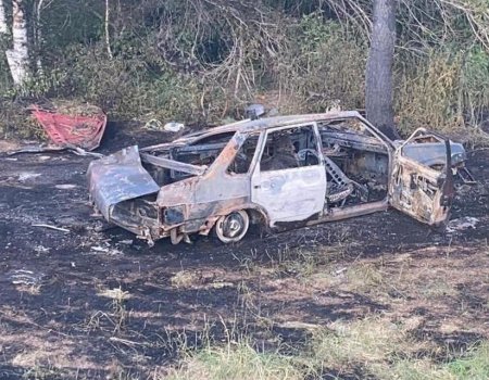 В Башкортостане ВАЗ-21099 перевернулся в кювет и загорелся: водитель погиб