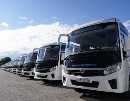 «Башавтотранс» получил 55 новых городских автобусов среднего класса «Вектор Некст»