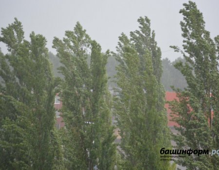 В Башкортостане объявлено штормовое предупреждение из-за сильного ветра
