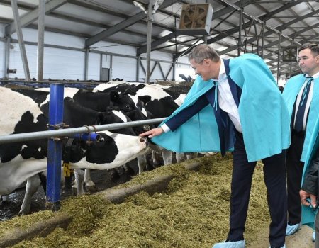 Радий Хабиров раскрыл секрет роста производства молока в Башкортостане