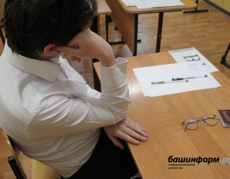 11 выпускников из Башкортостана сдали ЕГЭ по русскому языку на 100 баллов