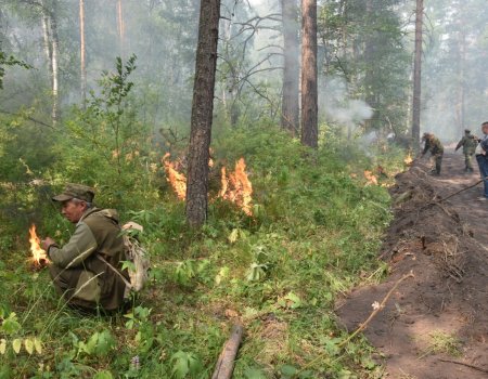 В Белорецком районе Башкортостана природный пожар тушат 70 человек: объявлен сбор волонтеров