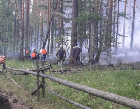 В Бурзянском районе Башкортостана удалось локализовать пожар на территории заповедника