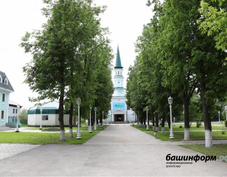 В Курбан-байрам в мечетях Башкортостана должно быть не более 100 человек - Хабиров