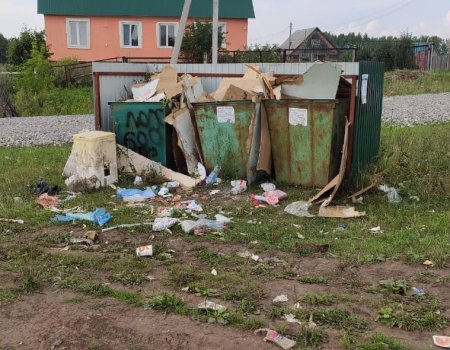 В Башкортостане планируют увеличить тариф на вывоз мусора