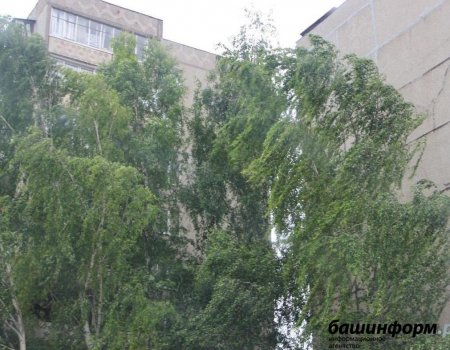 Сильный ветер, дожди и грозы: МЧС Башкортостана предупреждает об ухудшении погоды