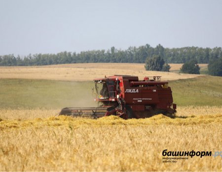 Несмотря на плохую погоду, аграрии Башкортостана уже собрали 850 тысяч тонн зерна