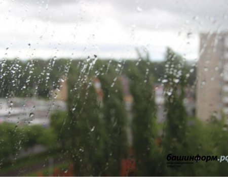 В предстоящие выходные в Башкортостане ожидаются дожди и грозы