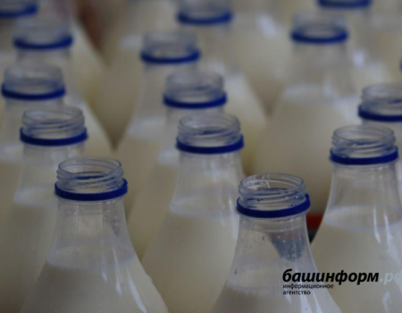 В Сибае планируют построить завод по производству молочной продукции