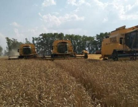 В Башкортостане дожди снизили темпы уборки зерновых