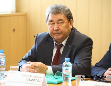 В Башкортостане много альтернативных источников сырья для БСК - Расих Хамитов