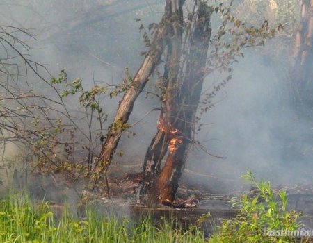 В Башкортостане горят 25 гектаров леса