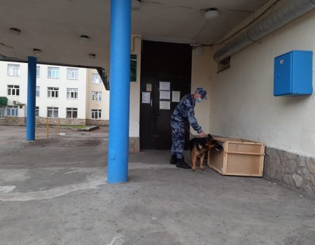 В Башкортостане росгвардейцы проверили избирательные участки